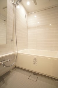 プライムメゾン早稲田通り 905号-8