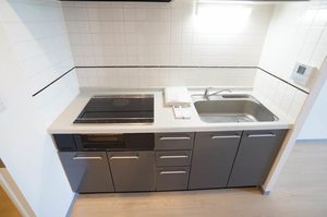 エスティメゾン川崎 1301号-6