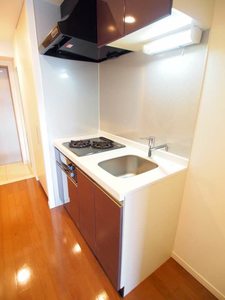 エスティメゾン川崎Ⅱ 408号-5