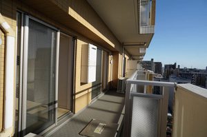 エスティメゾン川崎Ⅱ 1205号-2