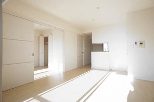 エスティメゾン川崎Ⅱ 1205号-3