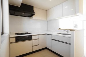 エスティメゾン川崎Ⅱ 1205号-4