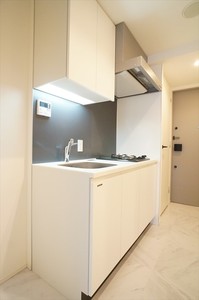 プライムメゾン横濱日本大通 1004号-5