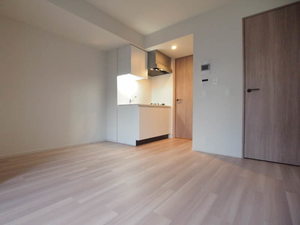 プライム新橋タワー 707号-3