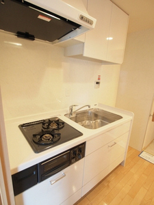 レジデンスシャルマンプレデュフルーブ 304号-3