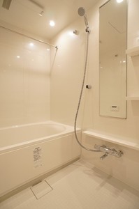 プライムメゾン湯島 701号-8