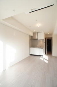 プライムメゾン湯島 708号-3