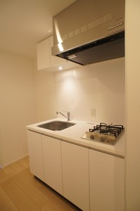 プライムメゾン湯島 1005号-7