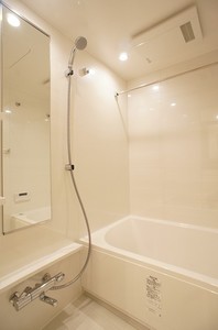 プライムメゾン湯島 1206号-10