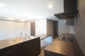 プライムメゾン浅草イースト 502号-8