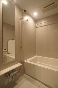 プライムメゾン浅草イースト 502号-11