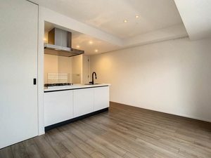 プライムメゾン蒲田 1111号-3