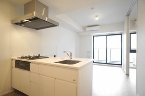 プライムメゾン錦糸町 508号-3