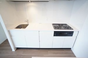 プライムメゾン錦糸町 1105号-5