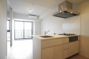 プライムメゾン錦糸町 1301号-3