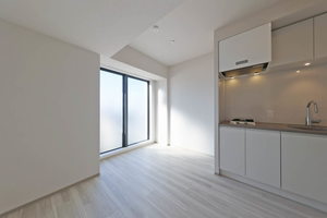 プライムメゾン西新宿 807号-4