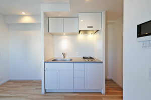 プライムメゾン西新宿 1102号-6