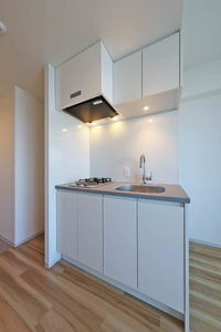 プライムメゾン西新宿 1104号-6