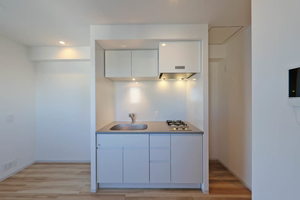 プライムメゾン西新宿 1302号-6