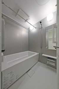 プライムメゾン西新宿 1303号-8