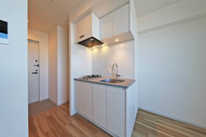 プライムメゾン西新宿 1304号-6