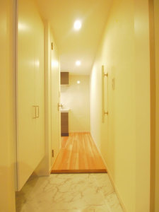 マストライフ神保町 701号-10