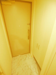 マストライフ神保町 701号-11