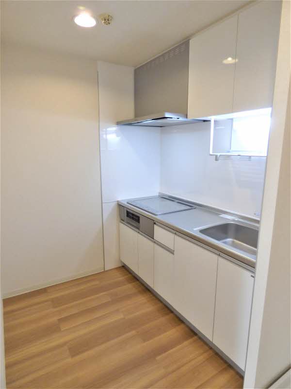 グリーンフラッツ小金井 305号-3