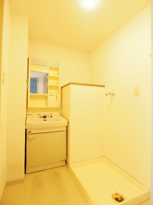 プラムサイドフレグラントハウス 1001号-8