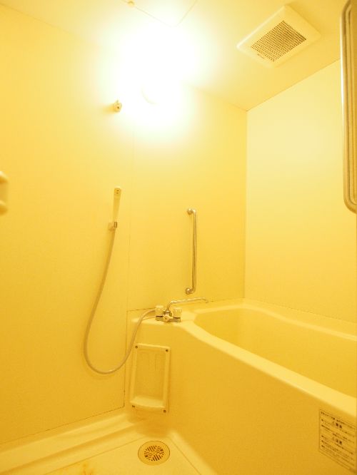 プラムサイドフレグラントハウス 1001号-9