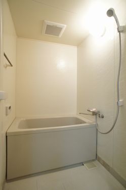 ヴェル・ドミール中幸 313号-11