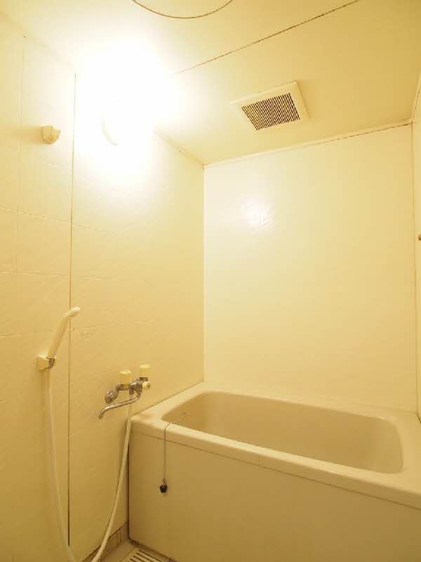 ヴェル・ドミール中幸 317号-10