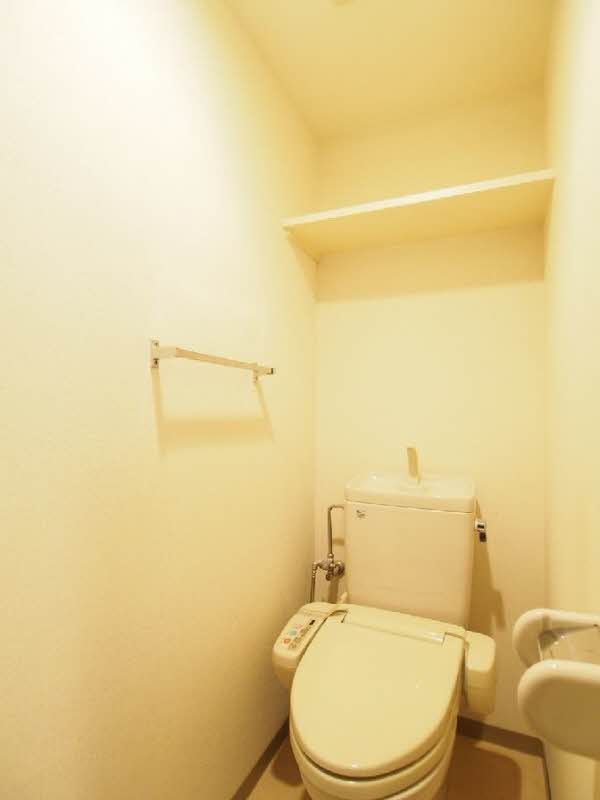 ヴェル・ドミール中幸 317号-11