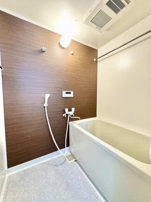 ジャンダルム 701号-5