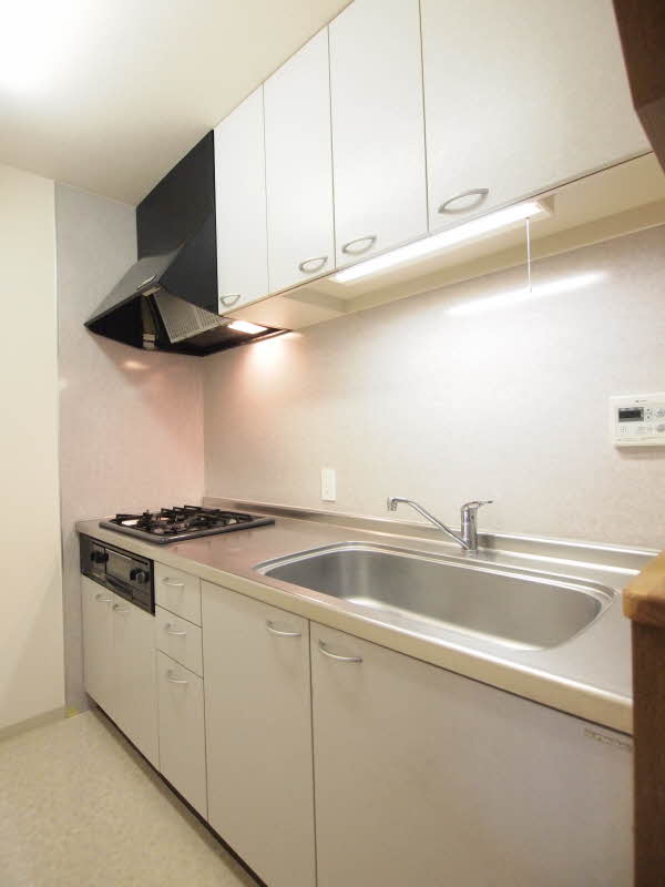 アーバン本駒込 303号-6