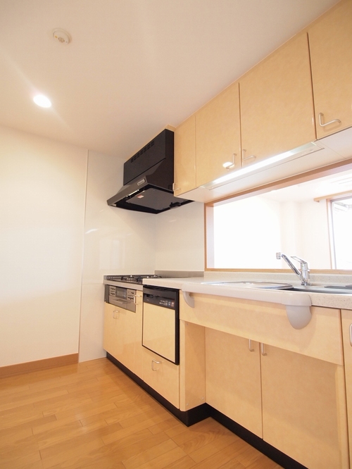 ラフィーヌ中目黒B 301号-5