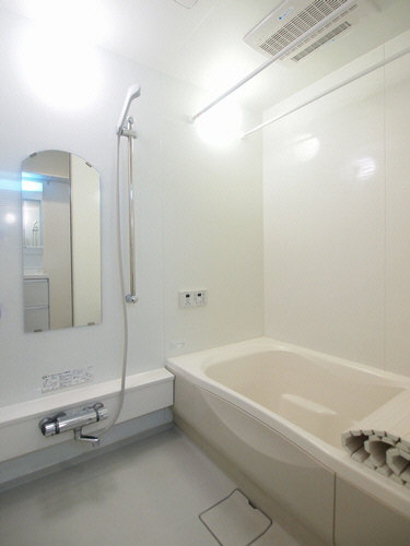 ラ　メゾン　ドゥ　桜新町 205号-9