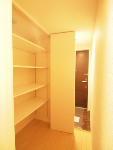 Dear M 303号-12