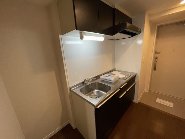 ルームスキノカ 406号-3