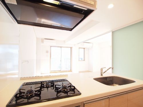 ル・シエル豊玉 401号-11