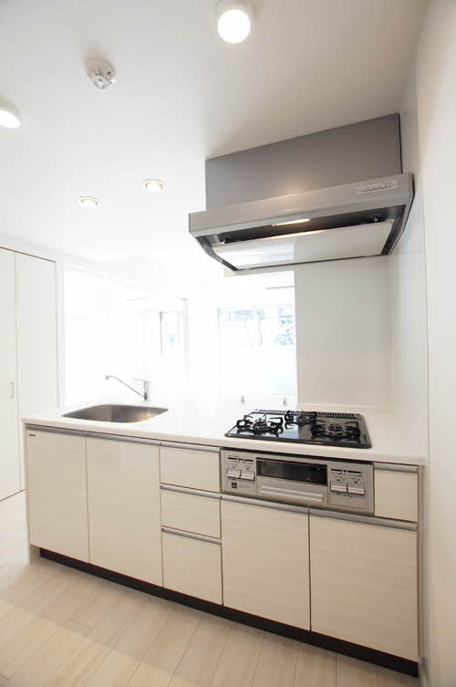 ＳＴレジデンス南品川 309号-4