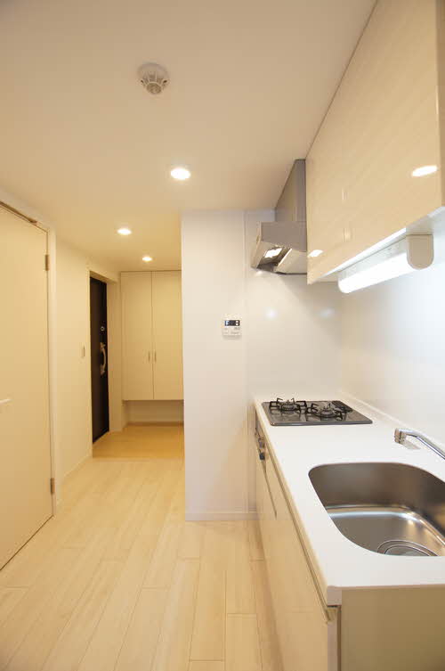 ＳＴレジデンス南品川 508号-8