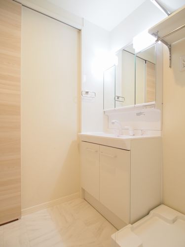 BEREO狛江 203号-9