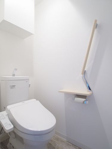 ラ・セレッソ練馬春日町 303号-10