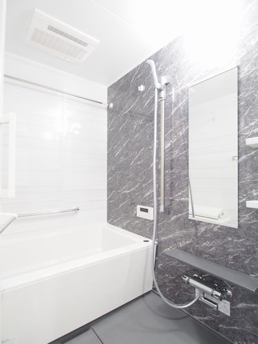 ラ・セレッソ練馬春日町 306号-8