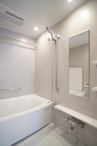 フルーヴベール烏山 303号-5