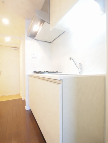 プライムメゾン早稲田 1304号-4