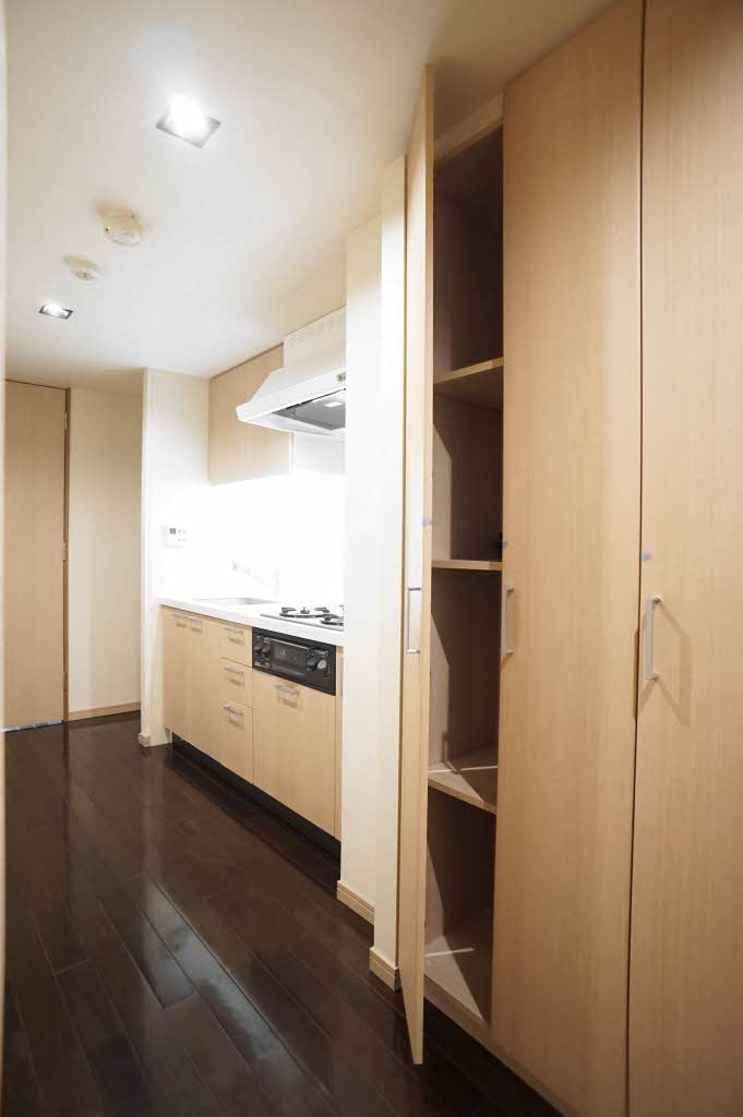 エスティメゾン銀座 501号-5