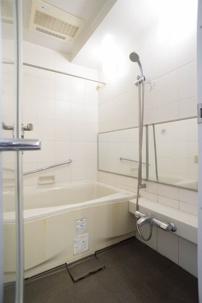 エスティメゾン銀座 501号-10