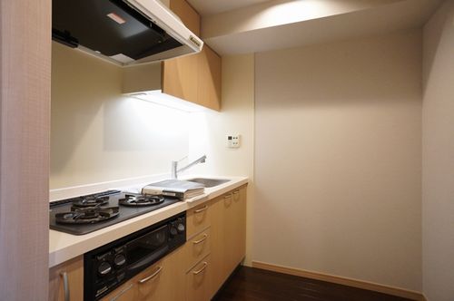 エスティメゾン銀座 507号-8